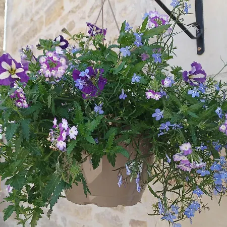 Wisteria At De La Vienne Holiday home Chaunay