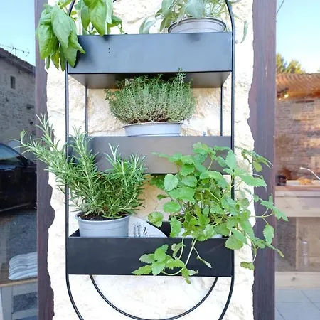 Wisteria At De La Vienne Chaunay