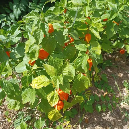 Wisteria At De La Vienne Holiday home