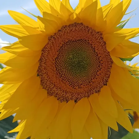 Wisteria At De La Vienne Holiday home *