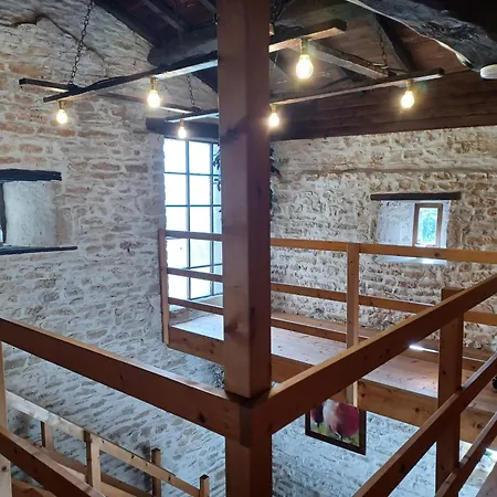 Wisteria At De La Vienne Chaunay