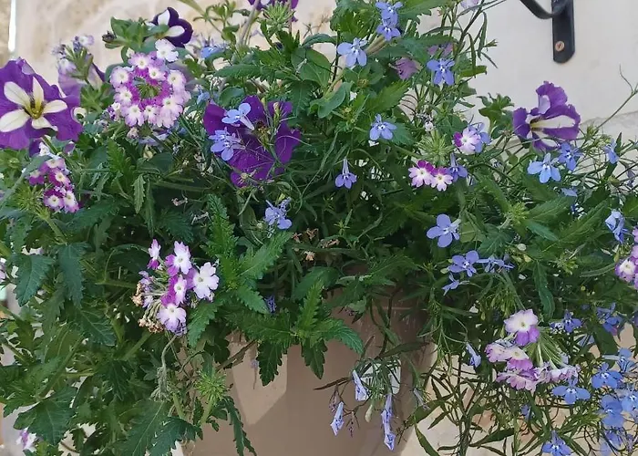 Wisteria At De La Vienne Hébergement de vacances Chaunay