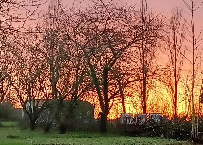 Wisteria At De La Vienne *