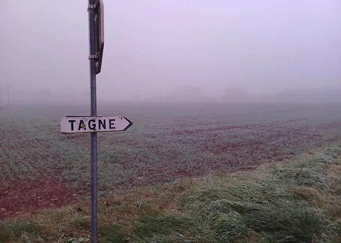Hébergement de vacances Wisteria At De La Vienne *