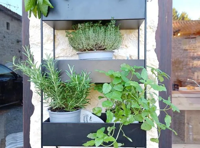 Wisteria At De La Vienne Chaunay