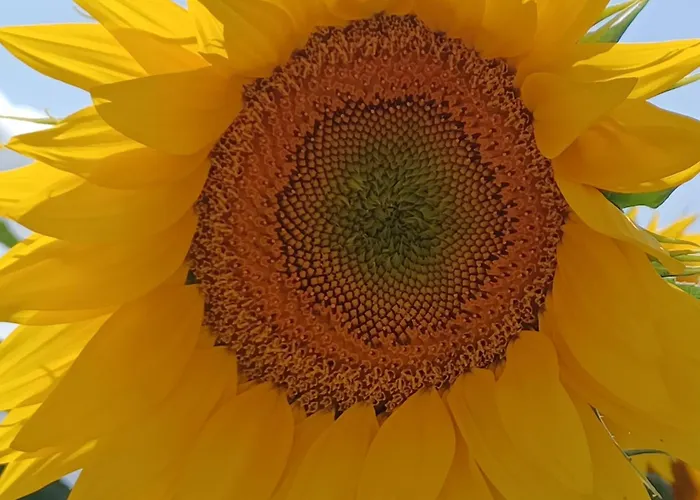 Wisteria At De La Vienne Hébergement de vacances *