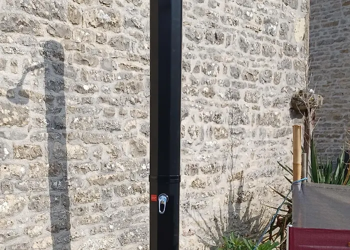 Wisteria At De La Vienne Chaunay